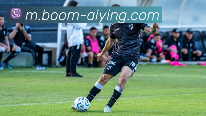 爱赢体育发展历程